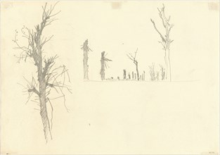 Devastated Trees [verso], 1918.