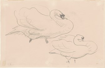 Studies of a Swan, 1880-1900.