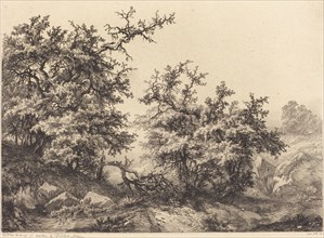 Thornbushes, 1840.