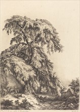 Juniper Tree, 1840.