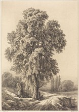 The Elm Tree, 1840.