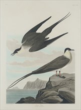 Arctic Jager, 1835.