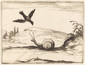 Crow and Snail, 1628.