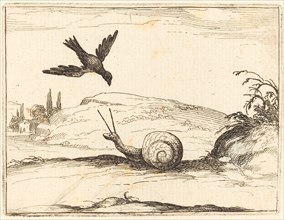 Crow and Snail, 1628.