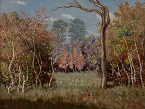 Autumn Landscape, 1889.