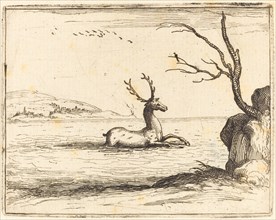 Stag in the Water, 1628.