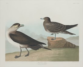 Richardson's Jager, 1835.