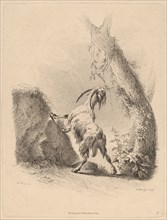 Goat in a Landscape, 1805.