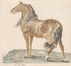 The Neighing Horse, 1690s.
