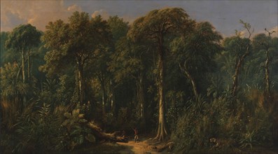 Javanese Jungle, ca. 1860.