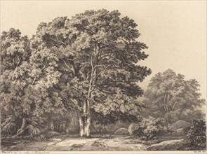 Entrance to a Forest, 1840.