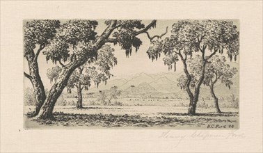 California Landscape, 1888.