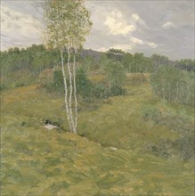 Birch-Clad Hills, ca. 1908.