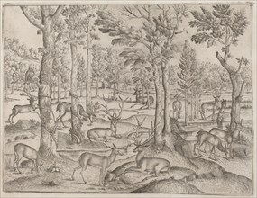 Deer in the Forest, c. 1520.