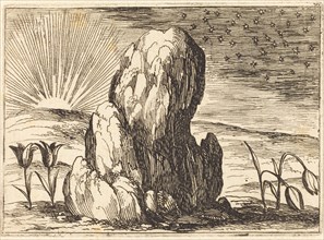The Tulips and the Sun, 1628.