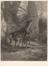 Biche et Faon. [Doe and fawn].