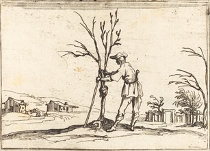 Gardener Pruning a Tree, 1628.
