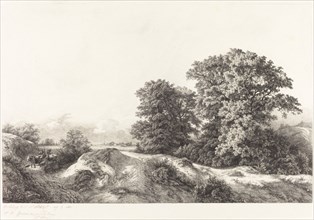 Oaks in the Vaux de Cernay, 1840.
