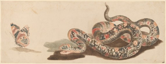 Snake and Butterfly, 1680s/1690s.