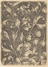 Scroll Ornament with Seated Child, 1532.