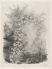 Plants and Ivies by a Stream, 1848/1849.