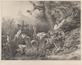 Water Dock and Brambles at a Sluice, 1843.