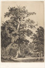 Ancient Oak in the Bois de Boulogne, 1855.