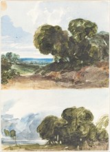 Two Sketches of Trees. Attributed to James Bulwer.