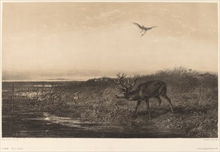 Le Soir. Cerf et Herons. [Evening. Stag and Herons].