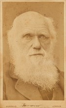 Portrait of Charles Darwin (1809-1882), 1881. Private Collection.