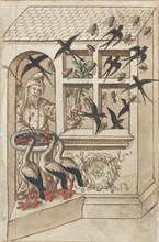 Do Not Have Swallows under the Same Roof [fol. 40 recto], c. 1512/1514.