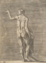 Flayed man with left hand on hip, holding skin in right hand, ca. 1531-76.