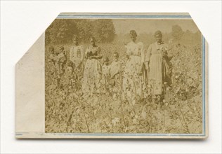 Carte-de-visite of African-American women and children in a cotton field, 1860s. Creator: J. H. Aylsworth.