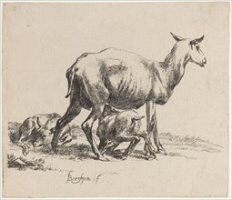 Ewe Nursing Her Lamb. Creator: Nicolaes Berchem.