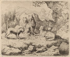 The Cat Sent as Messenger, probably c. 1645/1656. Creator: Allart van Everdingen.
