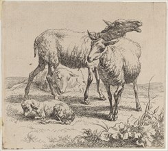 Three Sheep and a Lamb. Creator: Nicolaes Berchem.