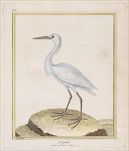 L'Aigrette (Egret), 1770-86. Creator: François Nicolas Martinet.