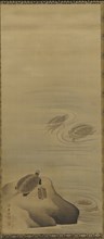 Turtles, Edo period, 18th century. Creator: Maruyama Okyo.