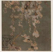 Wisteria blossoms, Edo period, early 17th century. Creator: Hon'ami Kôetsu.