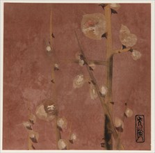 Plum blossoms, Edo period, late 16th-early 17th century. Creator: Hon'ami Kôetsu.