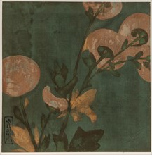 Chrysanthemums, Edo period, late 16th-early 17th century.  Creator: Hon'ami Kôetsu.