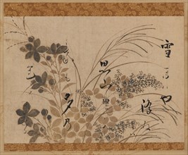 Flowers, grasses, and a poem, Edo period, 1615-1637. Creator: Hon'ami Kôetsu.