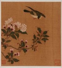 A bird hovering over blossoming branches, Qing dynasty, 18th century. Creator: Unknown.