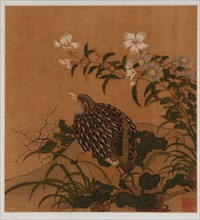 Quail and flowers, Qing dynasty, 18th century. Creator: Unknown.