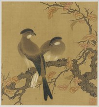 Two crested birds on a branch; autumn leaves, Qing dynasty, 18th century. Creator: Unknown.