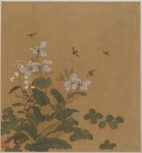 Bees hovering over flowers, Qing dynasty, 18th century. Creator: Unknown.