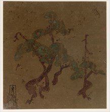 Pine trees, Edo period, late 16th-early 17th century. Creator: Hon'ami Kôetsu.