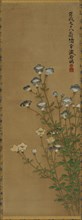 Blue and white flowers on slender stalks, Edo period, 18th-19th century. Creators: Ogata Kenzan, Unknown.