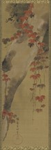 Pine tree and autumn vine, Edo period, late 18th century. Creator: Tawaraya Sori.