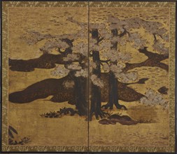 Blossoming cherry trees, Edo period, ca.1580-1635. Creator: Kano Sanraku.